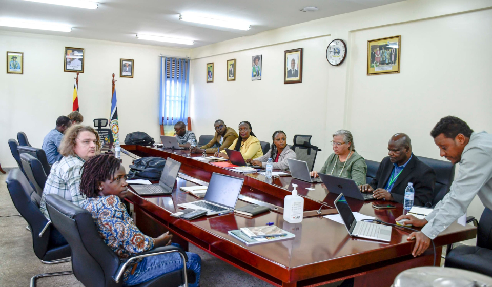 mainstream-selection