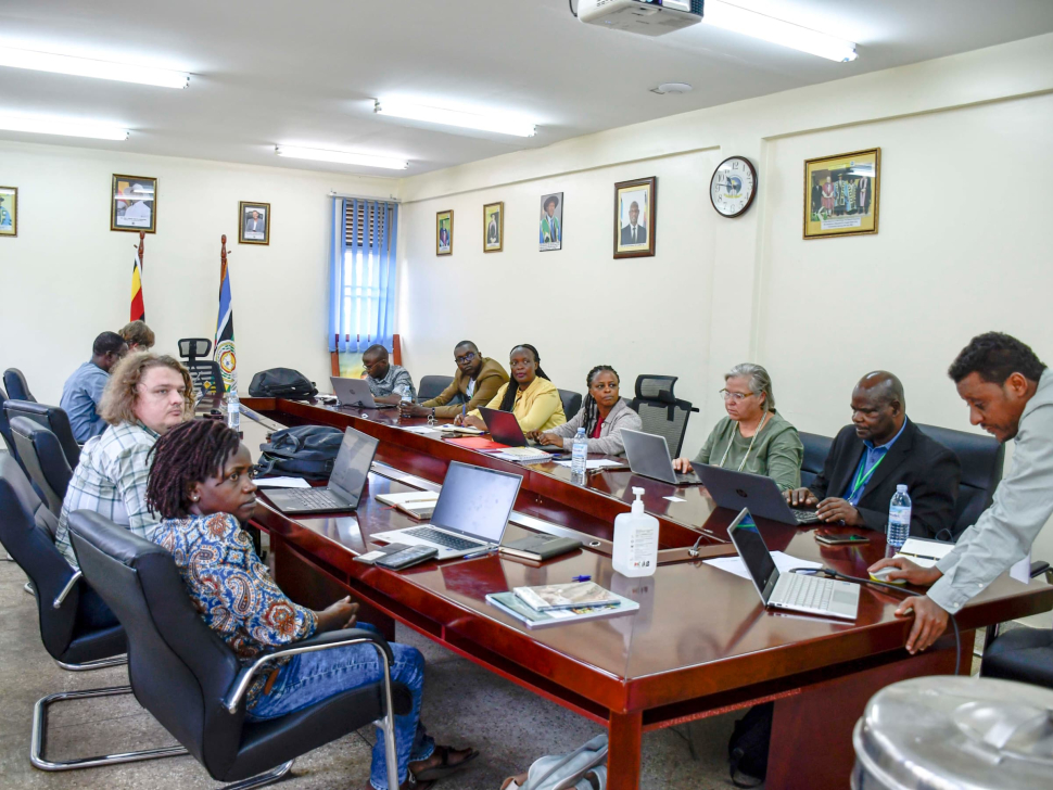 mainstream-selection