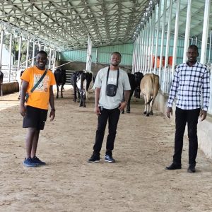 Dairy farm